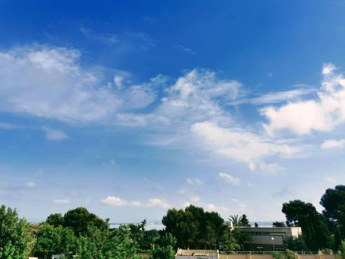 Villa SIA photo 21