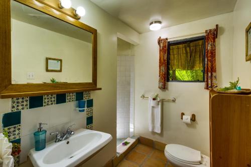 a bathroom with a sink and a toilet and a mirror at Tanager RainForest Lodge in Big Falls
