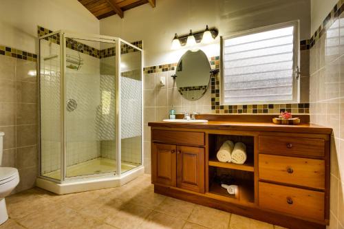 a bathroom with a shower and a sink and a toilet at Tanager RainForest Lodge in Big Falls