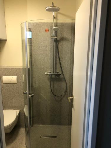 W łazience znajduje się prysznic ze szklanymi drzwiami. w obiekcie Fishing Lodge Hálsakot w mieście Sleðbrjótur