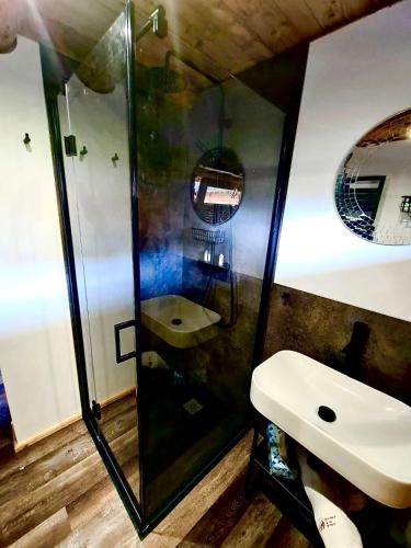 a bathroom with a shower and a sink at Blockhaus PanHütte in Braunlage