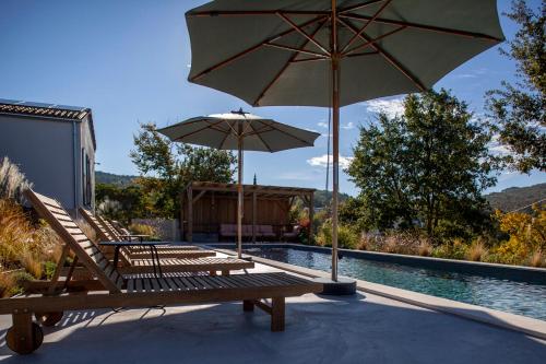 due sedie e un ombrellone accanto a una piscina di Two villas in lush countryside near Motovun a Brkač