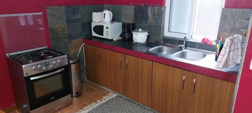 a small kitchen with a sink and a microwave at Le Chaleureux in La Gaulette