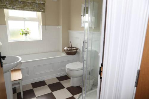 a bathroom with a toilet and a tub and a sink at 4 Castle Court in Killyhevlin