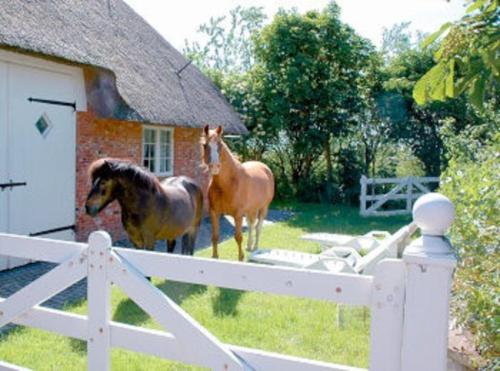 ファームステイの敷地内または近くにいる動物