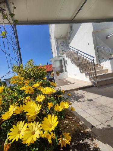 a bunch of yellow flowers in front of a building at Jelsa Blue Sea View in Jelsa