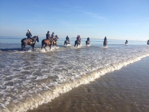 Fotografia z galérie ubytovania Le CALYPSO DEAUVILLE v destinácii Deauville