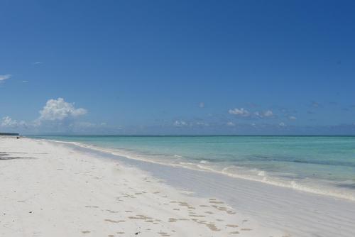 a beach with footprints in the sand and the ocean at Dar Mar Hostel & Coworking in Paje