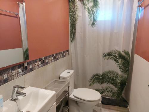 ein Bad mit einem WC, einem Waschbecken und einer Dusche in der Unterkunft Allotjament Activitats Bora Bora-Empordà in Verges