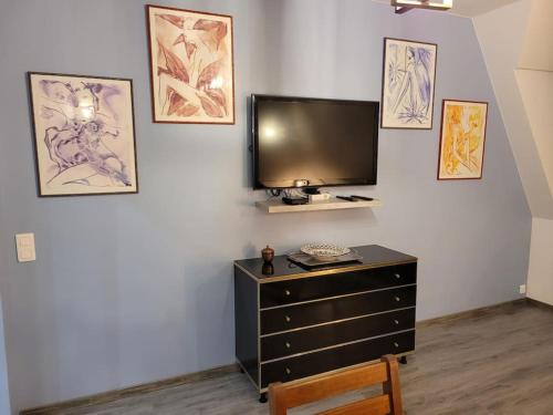 Televízia a/alebo spoločenská miestnosť v ubytovaní Les Embruns - Plein ciel - appartement 3eme étage