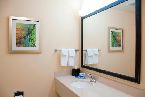 a bathroom with a sink and a large mirror at Fairfield Inn & Suites Ames in Ames