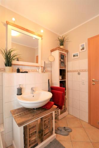 a bathroom with a sink and a mirror at Altes Wasserwerk App 14 in Wustrow