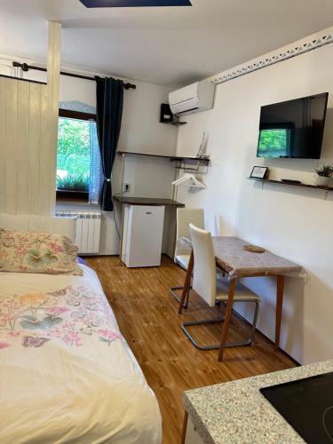 ポルトロスにあるApartma Angelikaのベッド、デスク、テーブルが備わる客室です。