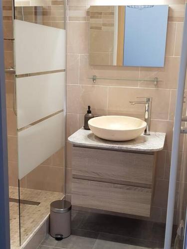 une salle de bain avec un lavabo et un miroir dans l'établissement Les Embruns - Les plages - appartement 3eme étage, à Deauville