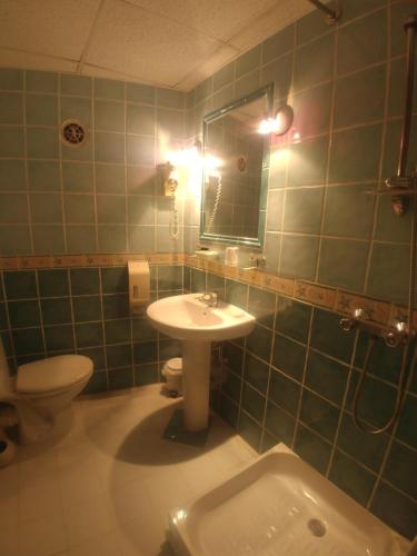 La salle de bains est pourvue d'un lavabo, de toilettes et d'un miroir. dans l'établissement L'Aiguebelle, à Céreste