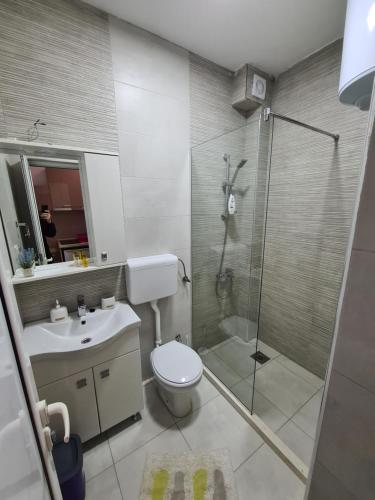 a bathroom with a shower and a toilet and a sink at Apartments Amar in Ulcinj