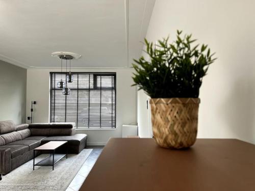 a living room with a table with a plant on it at Van Gogh Duplex Eindhoven-Nuenen in Nuenen