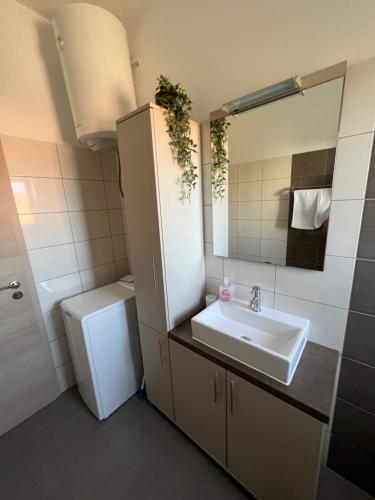 a bathroom with a sink and a toilet and a mirror at Apartmani Nina i Niko in Ugljan