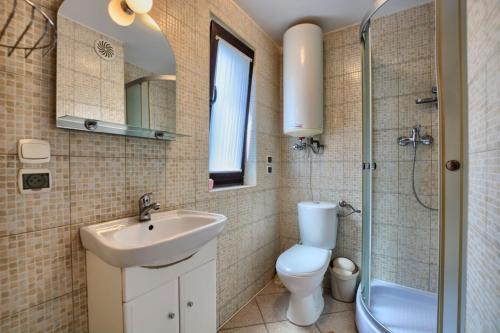 a bathroom with a sink and a toilet and a shower at Domki Zacisze nad wodą in Baligród