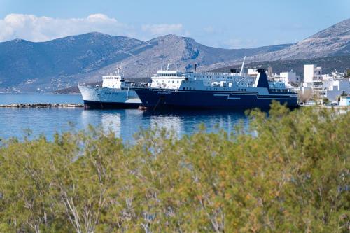 Φυσικό τοπίο κοντά σε αυτό το διαμέρισμα