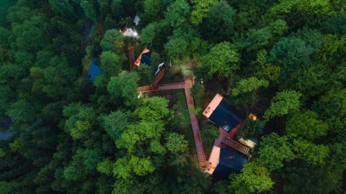 an aerial view of a house in the middle of a forest at Montana Suite Bungalows in Trabzon