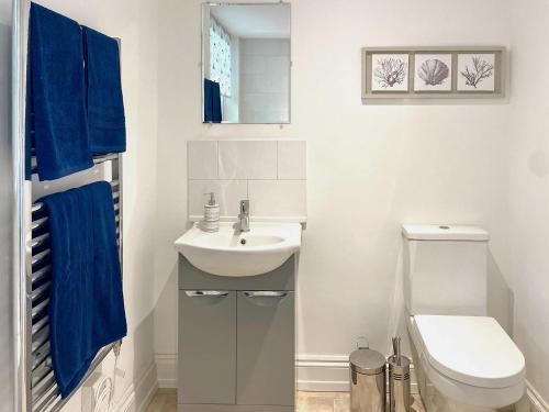 a bathroom with a sink and a toilet at Garden Cottage 1 - Uk42881 in Liphook