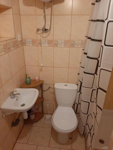 een kleine badkamer met een toilet en een wastafel bij Domek letniskowy w Górznie in Górzno