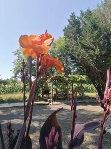 Domaine Manos – Photos 3