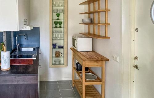 una cocina con encimera y microondas. en Cozy Home In Stavsns With Wifi en Djurhamn