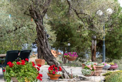 un gruppo di fiori in vaso all'interno di un albero di Villa Elia Kavala - Mediterranean Holiday Villa a PalaiónTsiflíkion