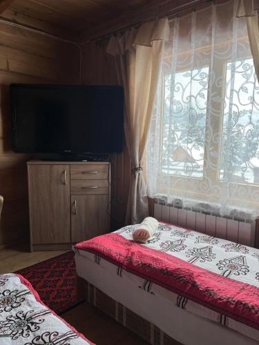 a bedroom with a bed and a tv and a window at Chowancówka in Biały Dunajec