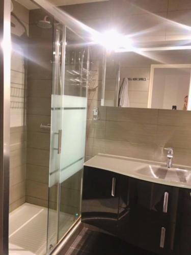 La salle de bains est pourvue d'une douche en verre et d'un lavabo. dans l'établissement Luxurious appartment near the airport Nice, à Nice