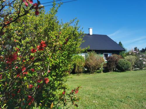 dom z drzewem z czerwonymi kwiatami w ogrodzie w obiekcie Zielony Zakątek Ciężkowice w mieście Ciężkowice