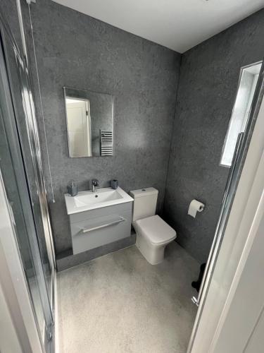 a bathroom with a toilet and a sink and a mirror at The Annexe in Felton