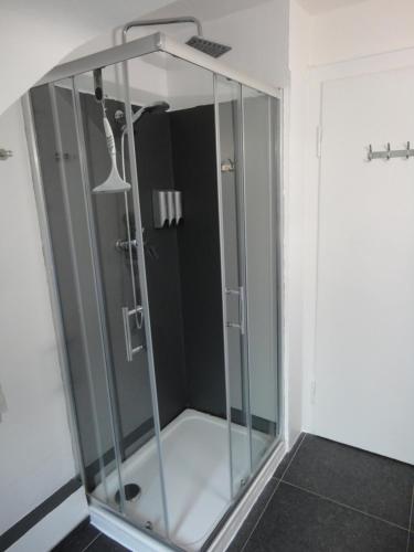 um chuveiro com uma porta de vidro na casa de banho em Ferienwohnung Adrián em Saarbrücken
