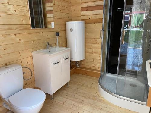 a bathroom with a shower and a toilet and a sink at an der GEIERWAND in Haiming