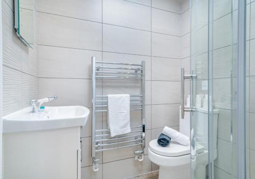 a bathroom with a toilet and a sink and a shower at USK Barn in Llanbadoc