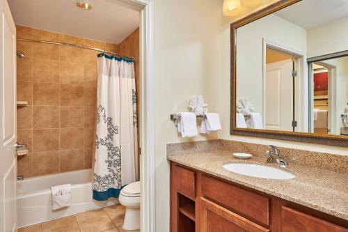 a bathroom with a sink and a toilet and a mirror at Residence Inn by Marriott Abilene in Abilene