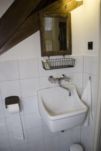 Vannituba majutusasutuses Boerderij Honswijck
