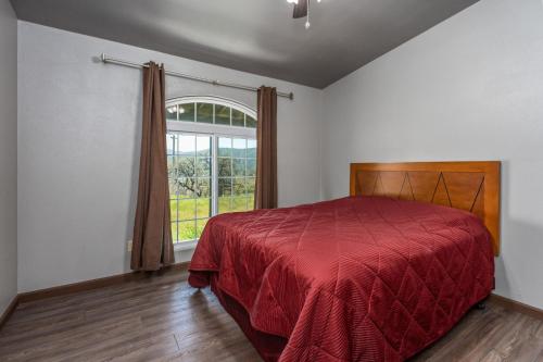 um quarto com uma cama e uma grande janela em Mountain Trail Lodge and Vacation Rentals em Oakhurst