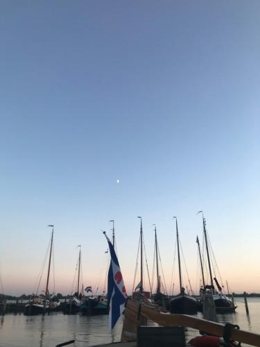 a group of boats docked in the water at Vakantiehuisjes Marsherne in Poppingawier