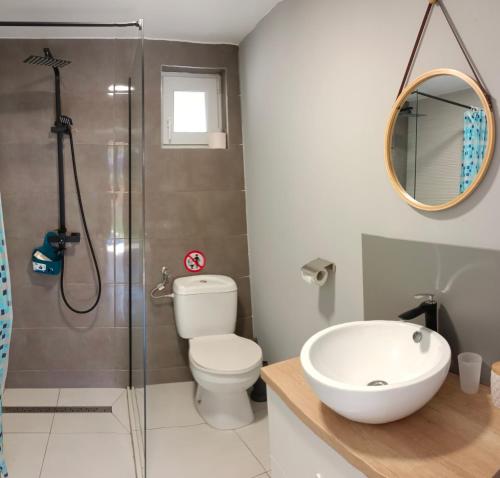 a bathroom with a shower and a toilet and a sink at Casa Justin in Gura Humorului