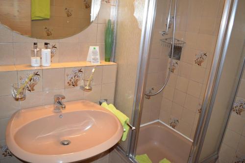 a bathroom with a sink and a shower at Landhaus Zum Heidewanderer mit THERMEplus in Bad Bevensen