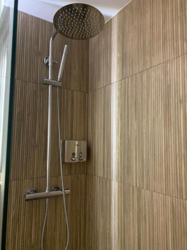 a shower with a shower head in a bathroom at Joyel de la Ribera in Aranda de Duero