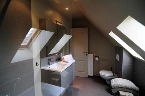 een badkamer met een wastafel en een toilet bij Holiday home De Levensgenieter in Torhout