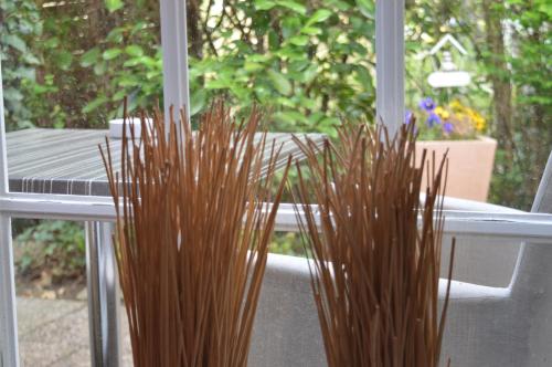 two tall brown plants sitting in front of a window at Landhaus Zum Heidewanderer mit THERMEplus in Bad Bevensen