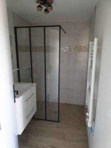 a shower with a glass door in a bathroom at Studio 3 personnes avec piscine in Sainte-Soulle