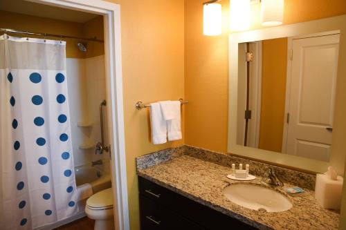 a bathroom with a sink and a toilet and a mirror at TownePlace Suites by Marriott Lawrence Downtown in Lawrence