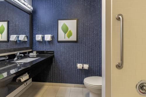 La salle de bains est pourvue de toilettes, d'un lavabo et d'un miroir. dans l'établissement Fairfield Inn & Suites by Marriott Texarkana, à Texarkana - Texas