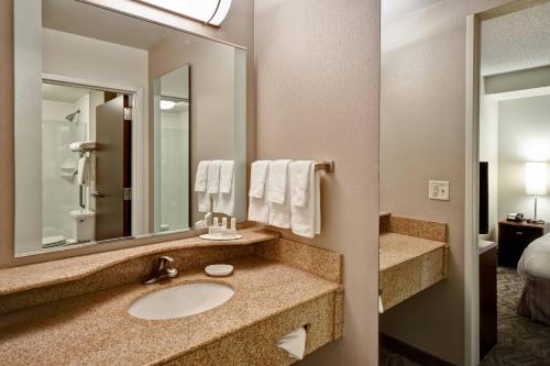 a bathroom with a sink and a mirror at SpringHill Suites Louisville Airport in Louisville